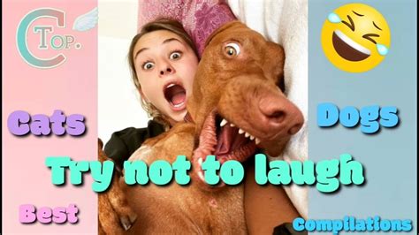 Try Not To Laugh Best Funniest Compilation Of Cats🐈 And Dogs🐕 Ever