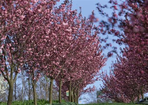 Pomysł na weekend Arboretum Wojsławice to jeden z najpiękniejszych og