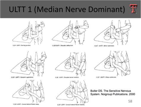 Upper Limb Tension Testing Flashcards Quizlet