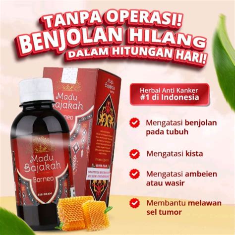 Jual MADU BAJAKAH BORNEO ASLI 100 ORIGINAL KALIMANTAN MADU IMUNITAS