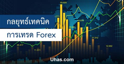 กลยุทธ์เทคนิคการเทรด Forex วางแผนกำไร