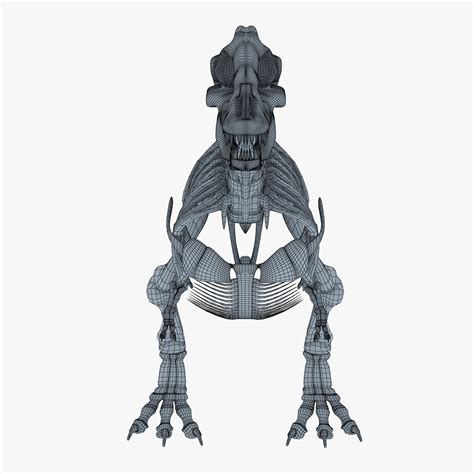 3D dinosaur skeleton - TurboSquid 1284529