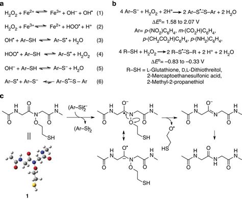 Formation Of Disulfide Radical Anions And Their Role In NO Bond