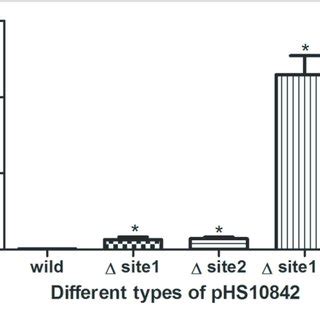 | Restriction enzyme recognition site and transformation efficacy. E ...