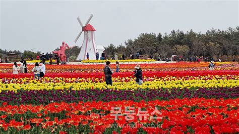 전남 신안군 “2024 섬 튤립축제 개막식 개최”