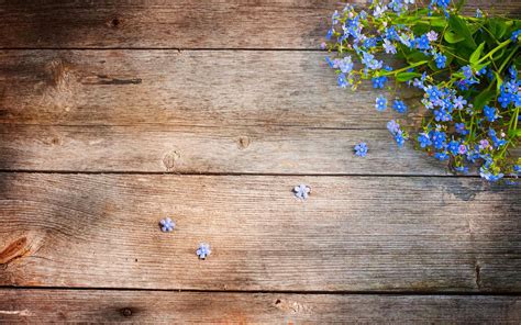 Houten Wallpaper Met Blauwe Bloemen