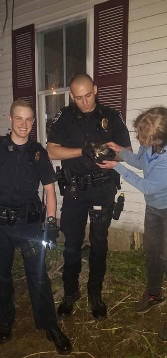 Rockland Police Rescue Kitten Stuck In Sewer Pipe Penbay Pilot