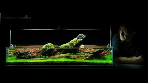 Aquarium Aquascape Tutorial Guide 'Crimson Sky' by James Findley & The ...