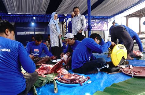 Berbagi Peduli Herman Khaeron Dan Ratnawati Kurban 17 Ekor Sapi Dan 2