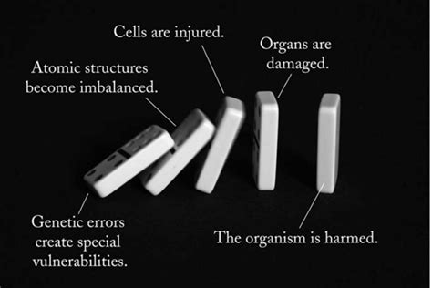 The Domino Model Cascading Effects Model Applied From Genetics Upward