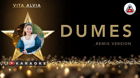 DUMES KARAOKE VITA ALVIA DJ REMIX AnekaSafariRecordsID YouTube