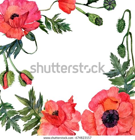 Wildflower Poppy Flower Frame Watercolor Style Stock Illustration