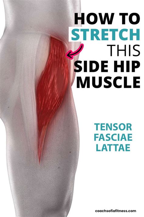 How To Stretch Tensor Fasciae Latae Tfl One Quick Stretch Hip Pain