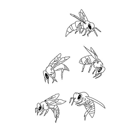 Bee Hand Getrokken Doodle Illustraties Vector Set Premium Vector