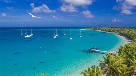 Cocos Keeling Islands Add On Bird And Nature Week 2023 Australian