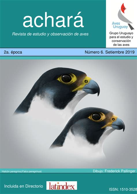 PDF Revisión de los registros y subespecies del halcón peregrino