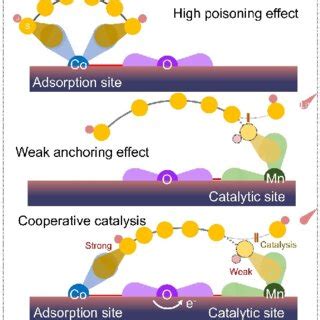 Schematic Illustration Of The Underlying Mechanism For Consecutive