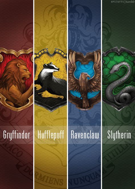 20 Four Houses Ideas Hogwarts Harry Potter Potter