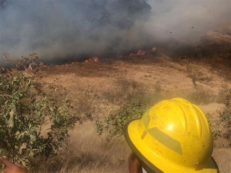 Controlan Incendio En La Primavera Meganoticias