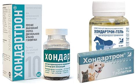 Травматин для кошек: показания и инструкция по применению, отзывы, цена