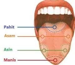 9 Jenis Rasa Di Lidah - PnlopBlogMyrs