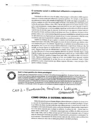 Roteiro Para Aula Pr Tica De Anatomia Humana Roteiro Para Aula