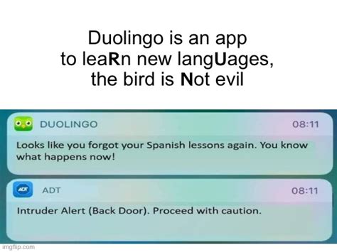 Image Tagged In Duolingo Imgflip