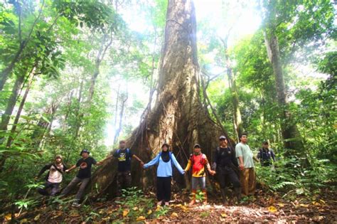 Situs Geopark Meratus Porwanas XIV Di Kalsel Siap Angkat Hutan Hujan