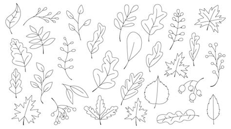 Premium Vector Doodle Hand Drawnautumn Leaves Set