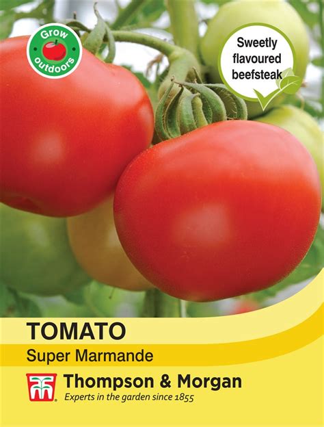 Super Beefsteak Tomato