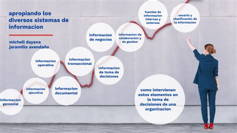 Apropiando Los Diversos Sistemas De Información By Michell Dayana