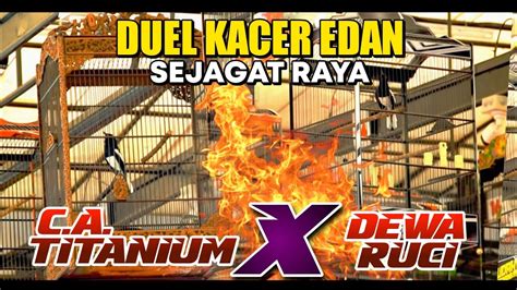 Duel Kacer Edan Sejagat Raya Ca Titanium X Dewa Ruci Youtube