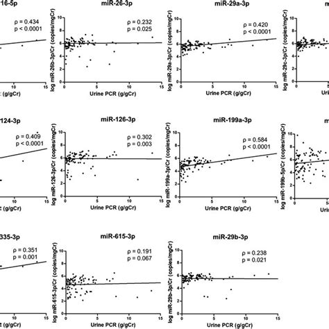 Correlation Between The Urinary Exosomal Mirna Level And Urine