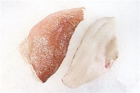 Coral Trout Fillets Delivery Manettas Seafood Market