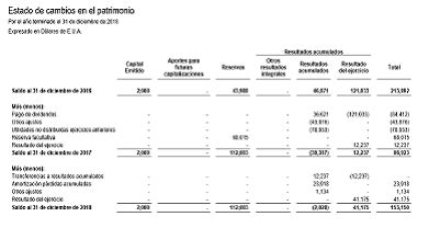 Estado De Cambios En El Patrimonio Cursos Online