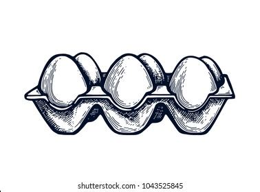 Best Egg Carton Drawing Royalty-Free Images, Stock Photos & Pictures ...