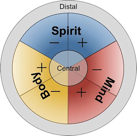 The Mind Body Spirit Model Of Sexual Well Being Download Scientific Diagram