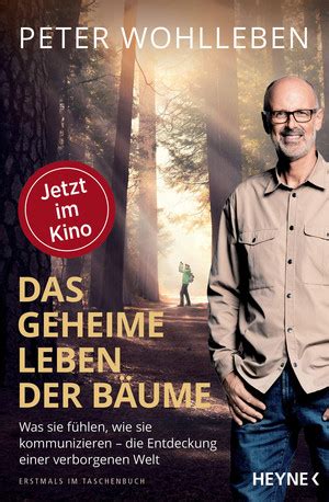 Peter Wohlleben Das geheime Leben der Bäume Sachbuch Couch de