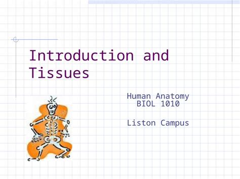 Ppt Introduction And Tissues Human Anatomy Biol Liston Campus