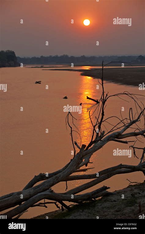 Atardecer en el río Luangwa Sur con árbol muerto en el frente el