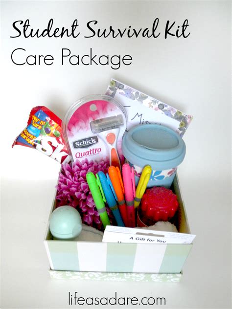 13 College Care Package Item Ideas Life As A Dare