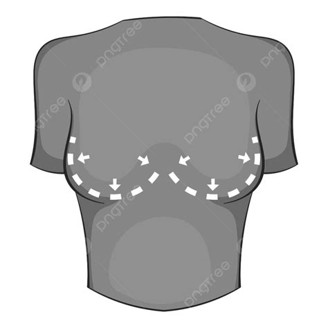 在白色背景矢量圖上孤立的單色風格的乳房手術矯正圖標 塑膠 在 In向量圖案素材免費下載，png，eps和ai素材下載 Pngtree