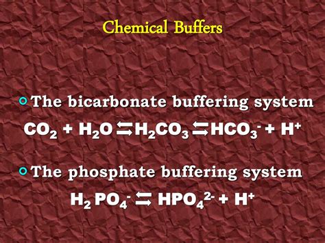 Anatomy And Physiology I Unit Two Ppt Download