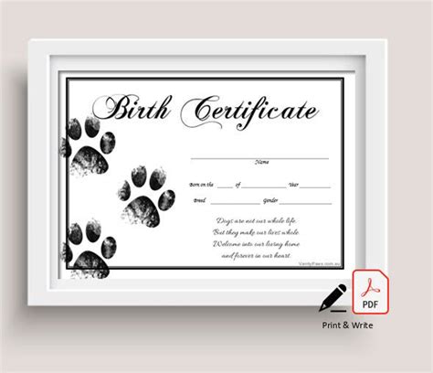 Design & Templates Stationery Cat Birth Certificate Printable Editable ...