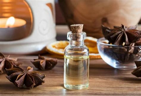 Star Anise Oil - Suyash Ayurveda