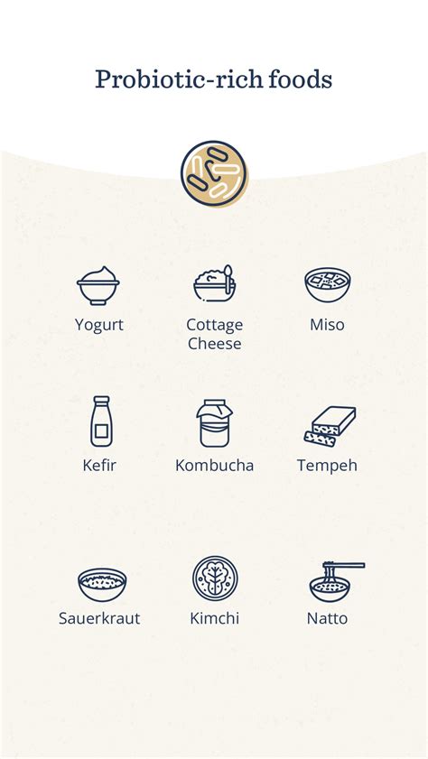 Can probiotics support immunity? - Blog - Persona Nutrition