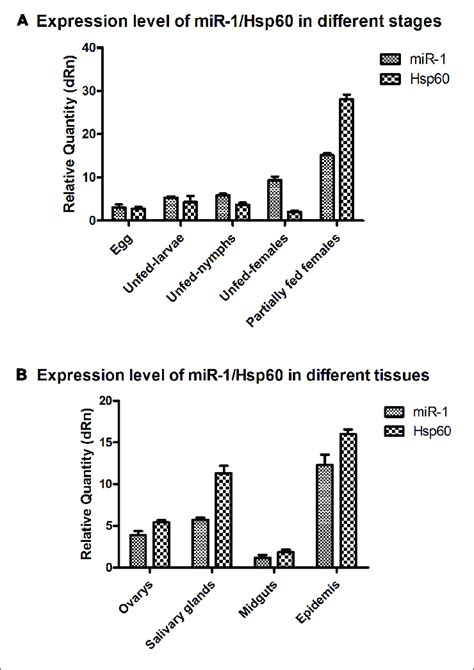 Mir 1 And Hsp60 Expression In Different Developmental Stages And