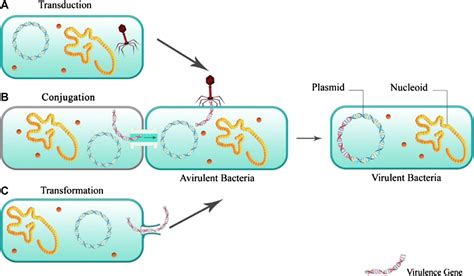 Frontiers The Burden Of The Serious And Difficult To Treat Infections