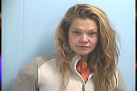 April Pruitt Dawson County Jail Bookings