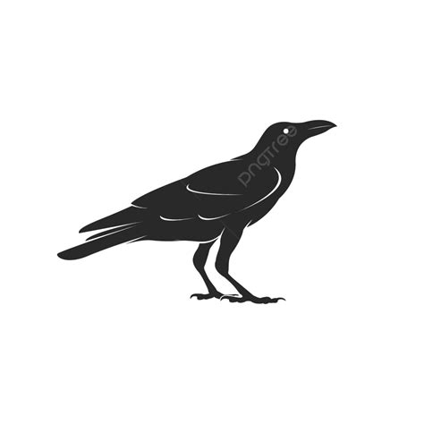 Crow Vector On White Background Easily Editable Old Standing Graphic Vector, Old, Standing ...